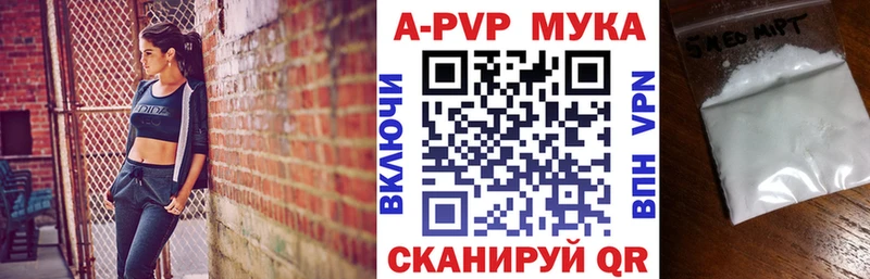 купить  сайты  Великий Новгород  A-PVP СК 