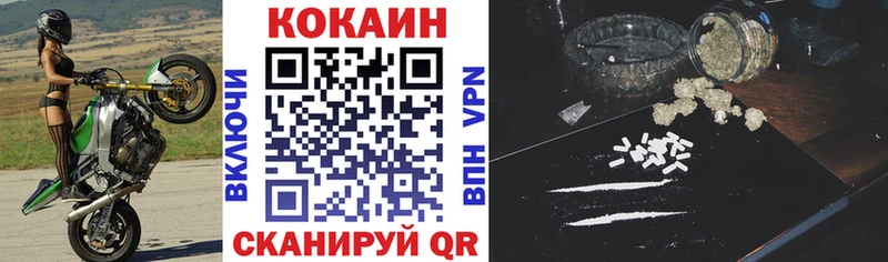 магазин продажи наркотиков  Великий Новгород  Cocaine Эквадор 