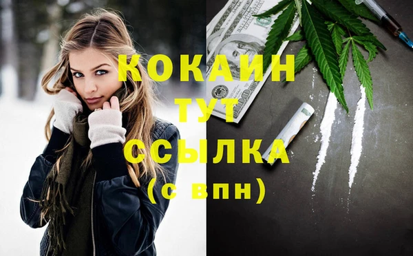 apvp Няндома