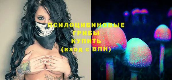 соль ск Нягань