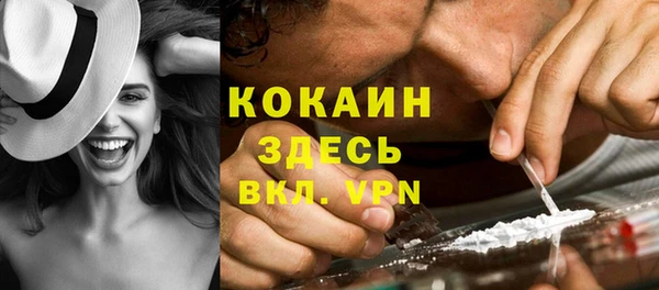 apvp Няндома