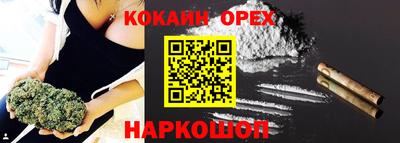 ешки Боровичи