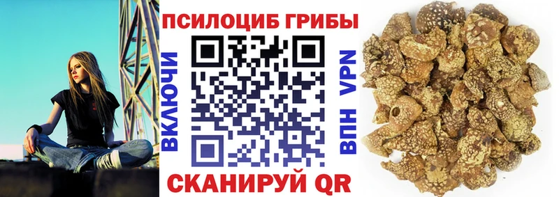 Галлюциногенные грибы прущие грибы  KRAKEN маркетплейс  Великий Новгород 