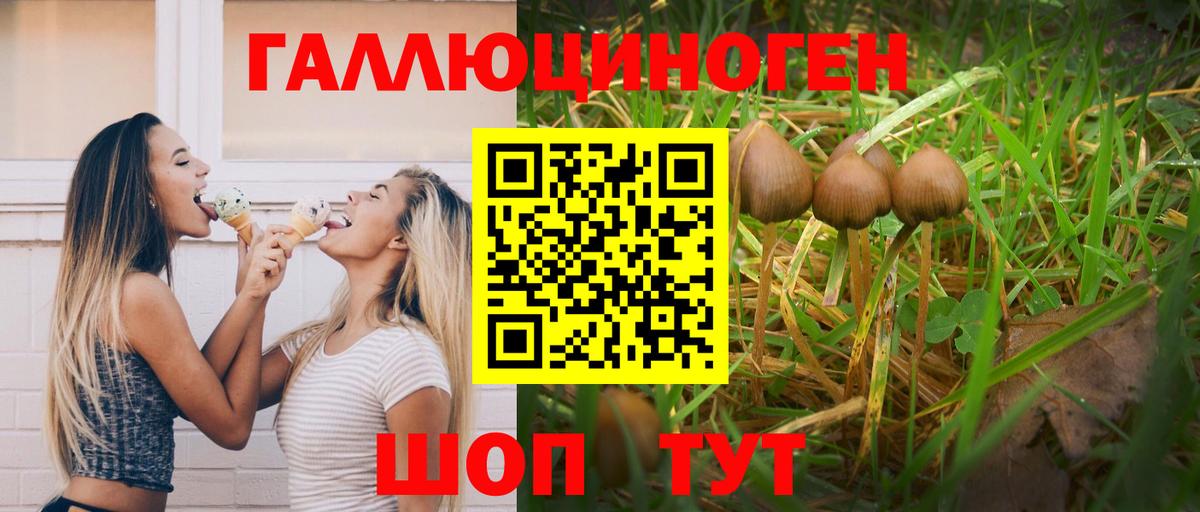 Псилоцибиновые грибы MAGIC MUSHROOMS Великий Новгород